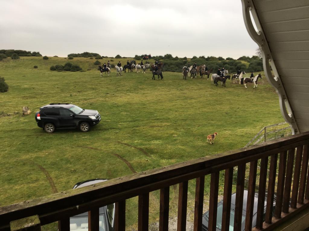 The Curragh Country House Accommodation Ньюбридж Экстерьер фото